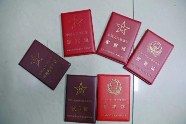 水果森林老虎机破解
